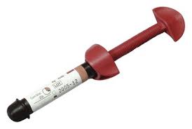 Prodent OÜ