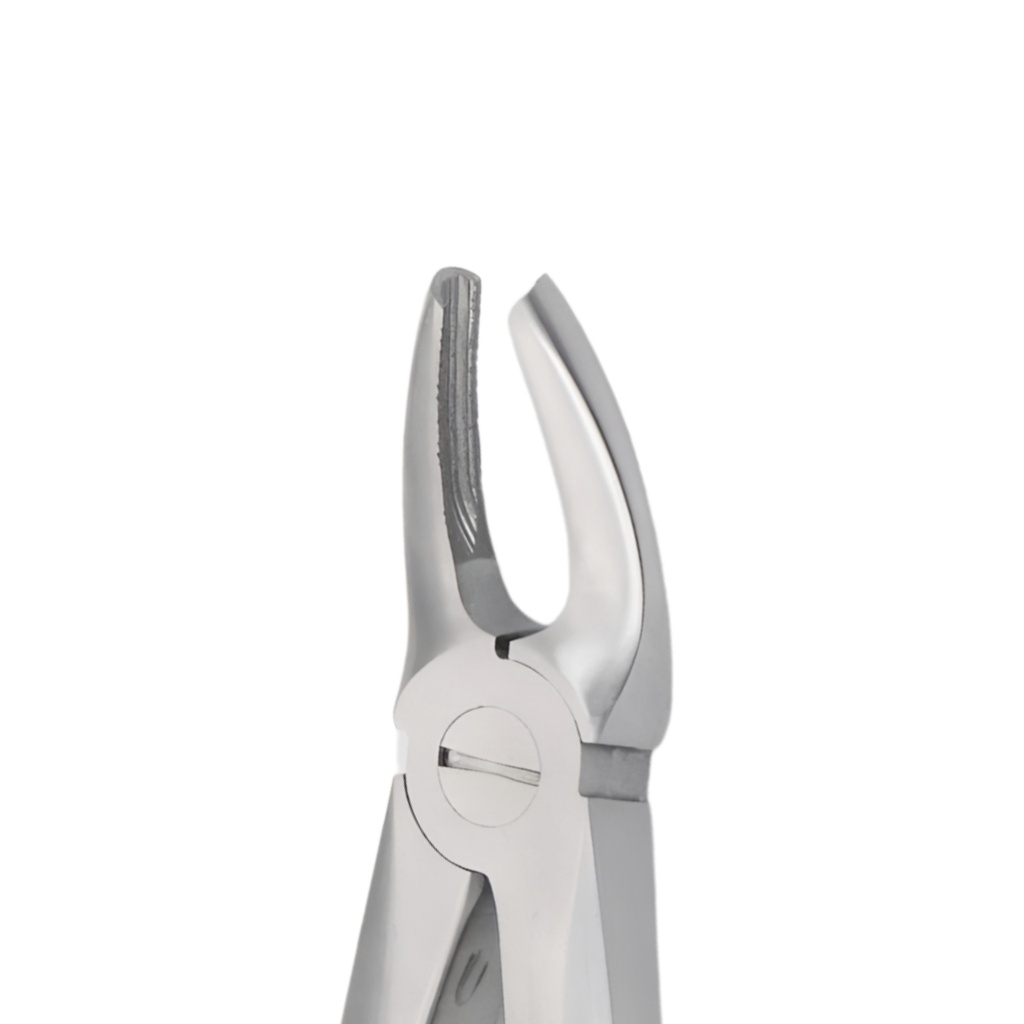 Upper Premolars _ Diamond Extraction Forcep