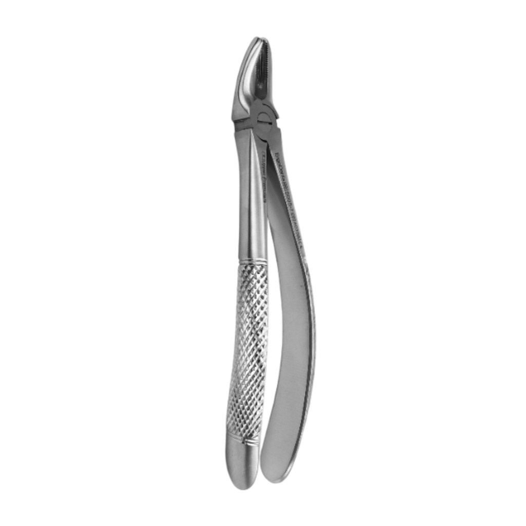 Upper Premolars _ Standard Extraction Forcep